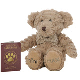 MiniMax Cute Cuddly Teddy Bear Small Plush Toy